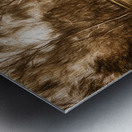 Rocking horse pin up Metal print