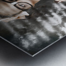 Private Eye Detective Smoking At Crime Scene Metal print