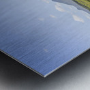 Colour wilds  Metal print