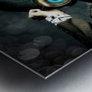 Private eye spy Metal print