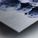 Blueberrini  Metal print
