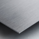 Policemans Point Pelicans Metal print