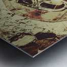 Old airman adventure Metal print