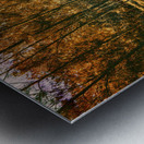 Path to autumn marshlands Metal print