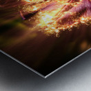 Flower power Metal print