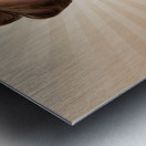 Young Smiling Vintage Girl Taking Photo Metal print