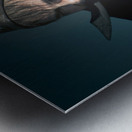 Scary Pirate With Sword Metal print