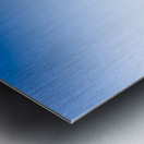 Message In A Bottle Metal print