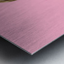 Beauty salon pinup girl smiling with haircare comb Metal print