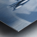 Blue spring Metal print