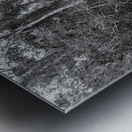 Wildering woods Metal print