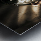 Nightmare Screams Metal print