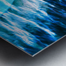 Shark bite Metal print