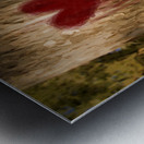 The Lonely Tree Metal print