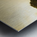 Ridgley hilltop Metal print