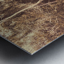 Wild ways Metal print