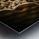 Diamond ensemble Metal print