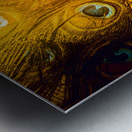 Iridescence  Metal print