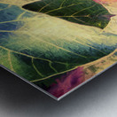 Leaves of impressionism Metal print