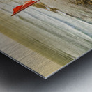 Trials and triumphs  Metal print