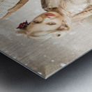 Vintage Woman Dreaming Of A Europe Travel Escape Metal print