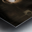 Hidden history Metal print