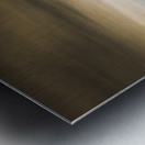 Beauty in rural dilapidation Metal print