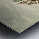 Australian Aermotor windmill Metal print