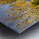 Autumn Drive Metal print