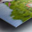 Heart Felt Happiness Metal print