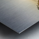 Captivating Coast Metal print