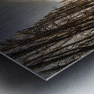 Twisted roads and dead trees Metal print