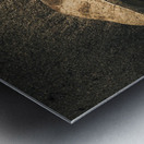 The desert burial Metal print