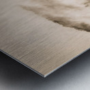 Elevated wonder Metal print