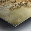 Dead tree in seasons bare Metal print