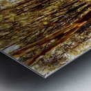 Dabble way  Metal print