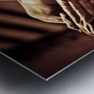 Mysteries Of Italy Metal print