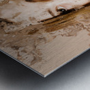 Milk shake pin-up woman. Restaurant art  Metal print