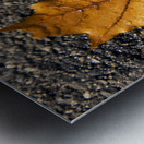 The Fall Of Autumn Metal print