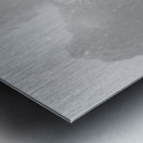 Reflections of an early settler Metal print