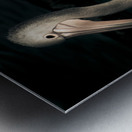 Twilight Pelican Metal print