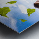 Elegant young woman with shears. Gardening love Metal print