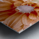 Chrysanthemum creativity Metal print