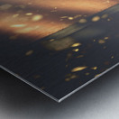 Brave the cold Metal print