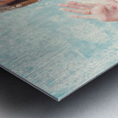 Funny pin up cleaning woman washing bathroom glass Metal print