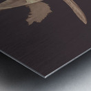 Writers guild abstract Metal print