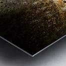 The tide and its takers Metal print