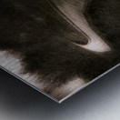 Forest Of Darkness Metal print