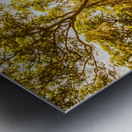 Nth Stradbroke Is. Metal print