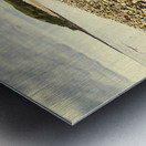 Lillico Beach Tasmania Metal print